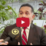 Delitos Informáticos: WhatsApp y Otras Apps